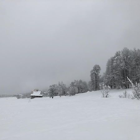 Cottage In 巴库里阿尼 外观 照片